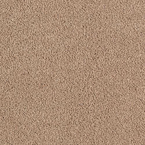 Luxurious Beauty Easily Suede 9831