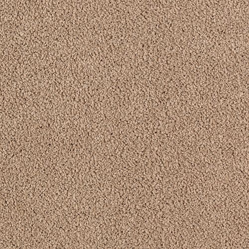 Easily Suede