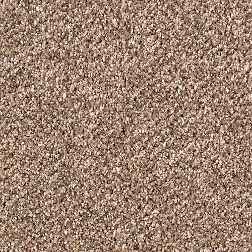 Allspice