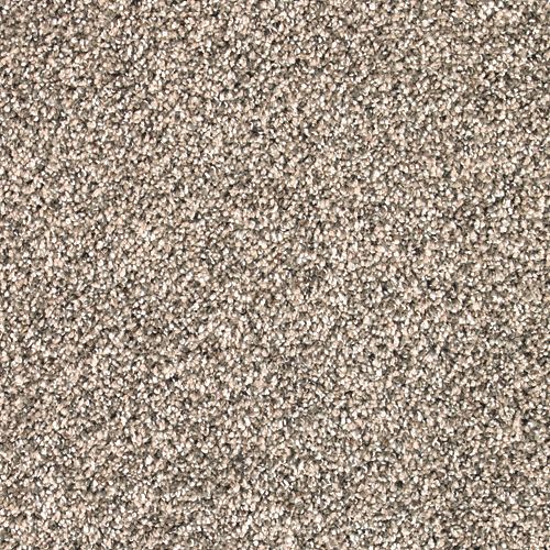 Coastal Beige