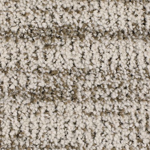 Mohawk Industries Natural Diversion Hickory Carpet Red Bank New Jersey Carpets With A Twist