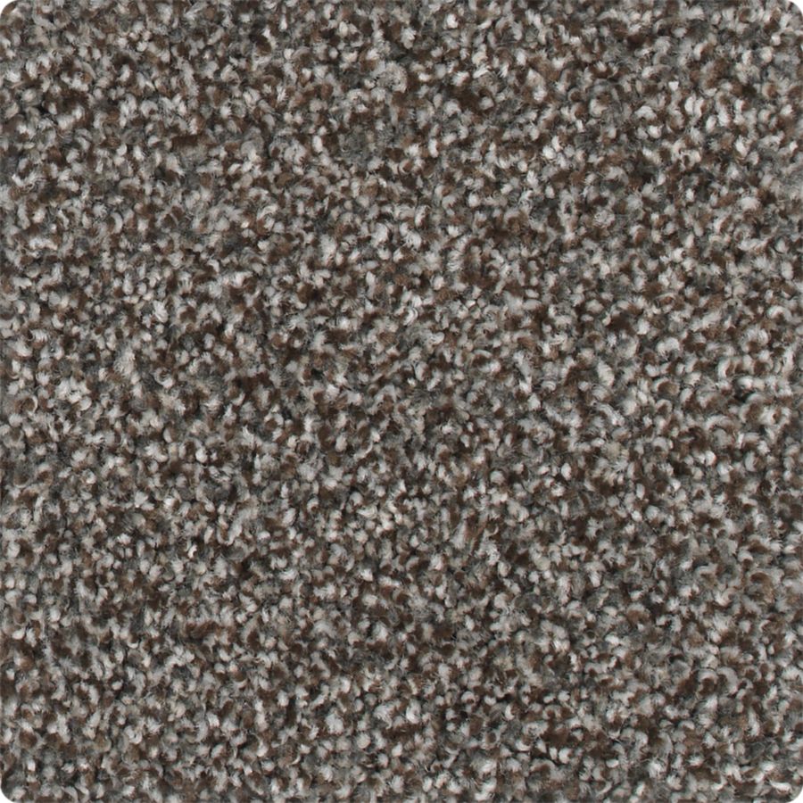 Mohawk Frieze Carpet Colors