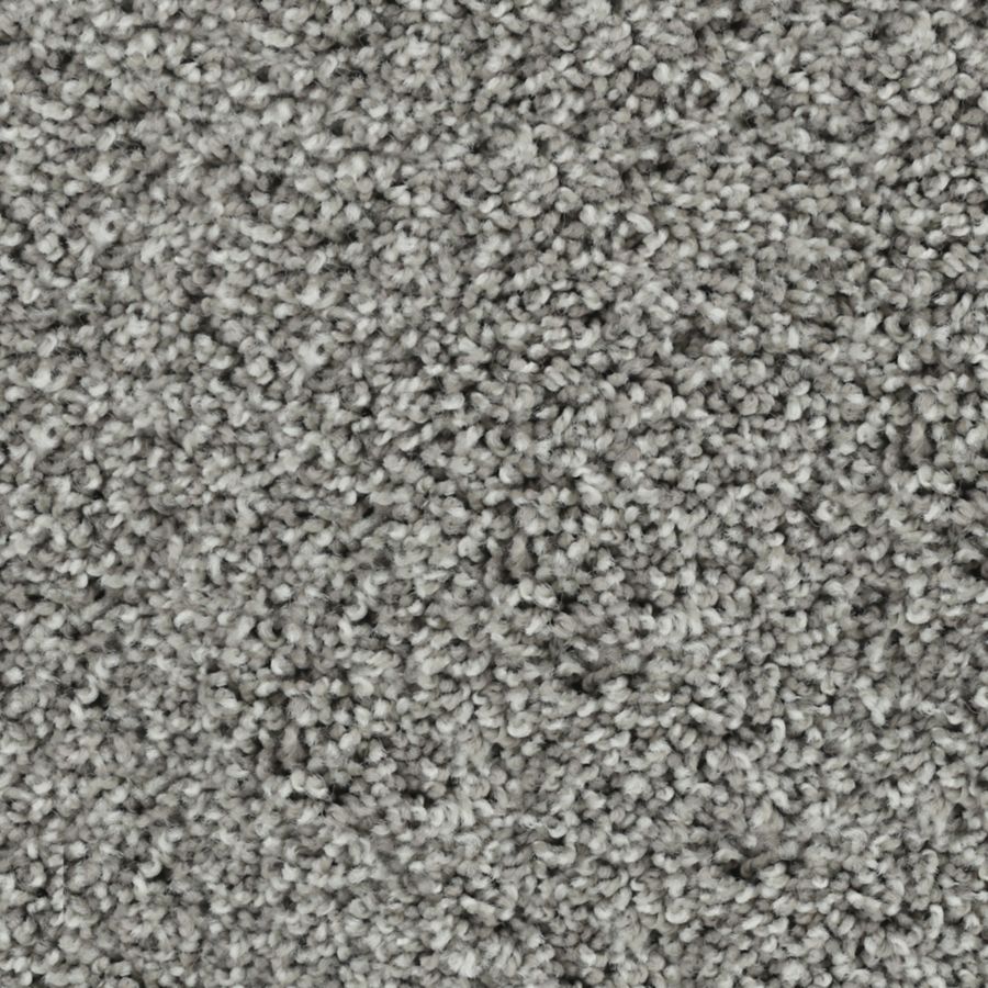 Mohawk Industries Bold Finish Early Evening Carpet Clovis Ca Quality Carpets Design Center