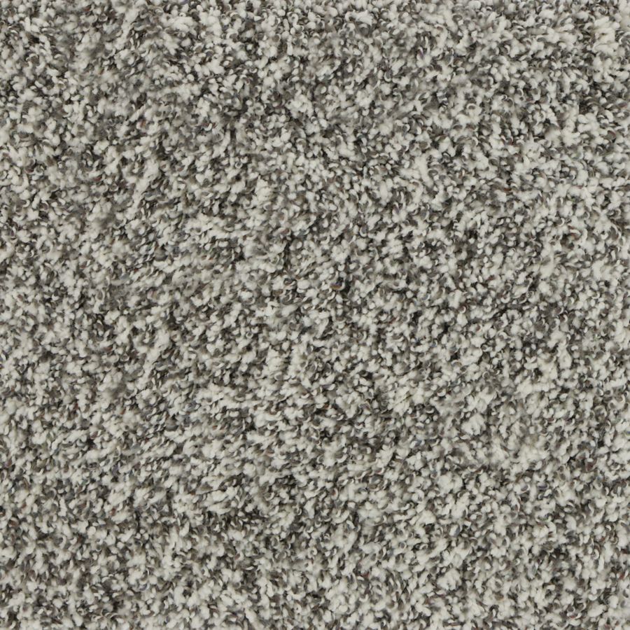 Kane Carpet Terne Zinc Carpet Havertown Pa Havertown Carpet