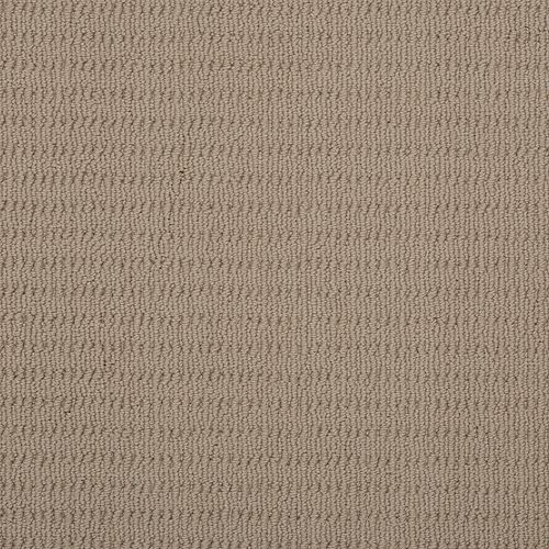 Shell Dust