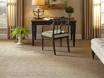 Room Scene of Tonal Charm - Carpet by Mohawk Flooring