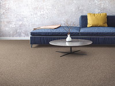 Room Scene of Gentle Embrace - Carpet by Mohawk Flooring