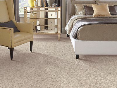 Room Scene of Brushed Quality - Carpet by Mohawk Flooring