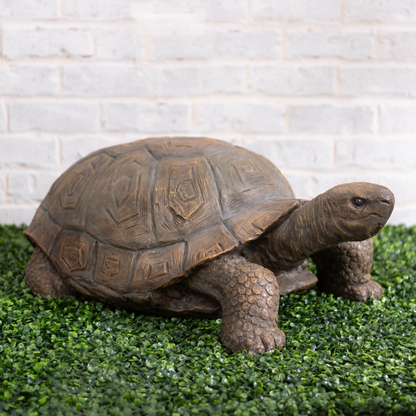 Tortoise Statue Kirklands