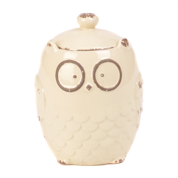 Ivory Owl Cookie Jar Kirklands
