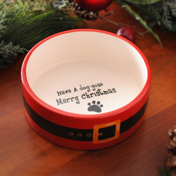 Merry Dog Gone Christmas Dog Bowl Kirklands