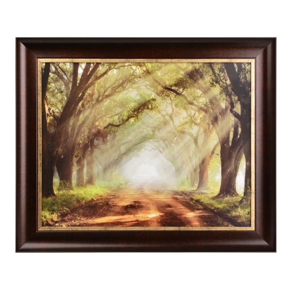 Evergreen Plantation Framed Art Print | Kirklands