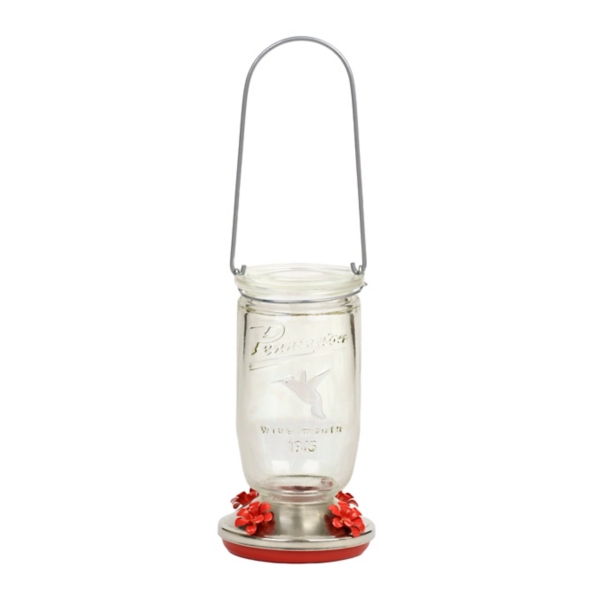 Mason Jar Hummingbird Feeder Kirklands