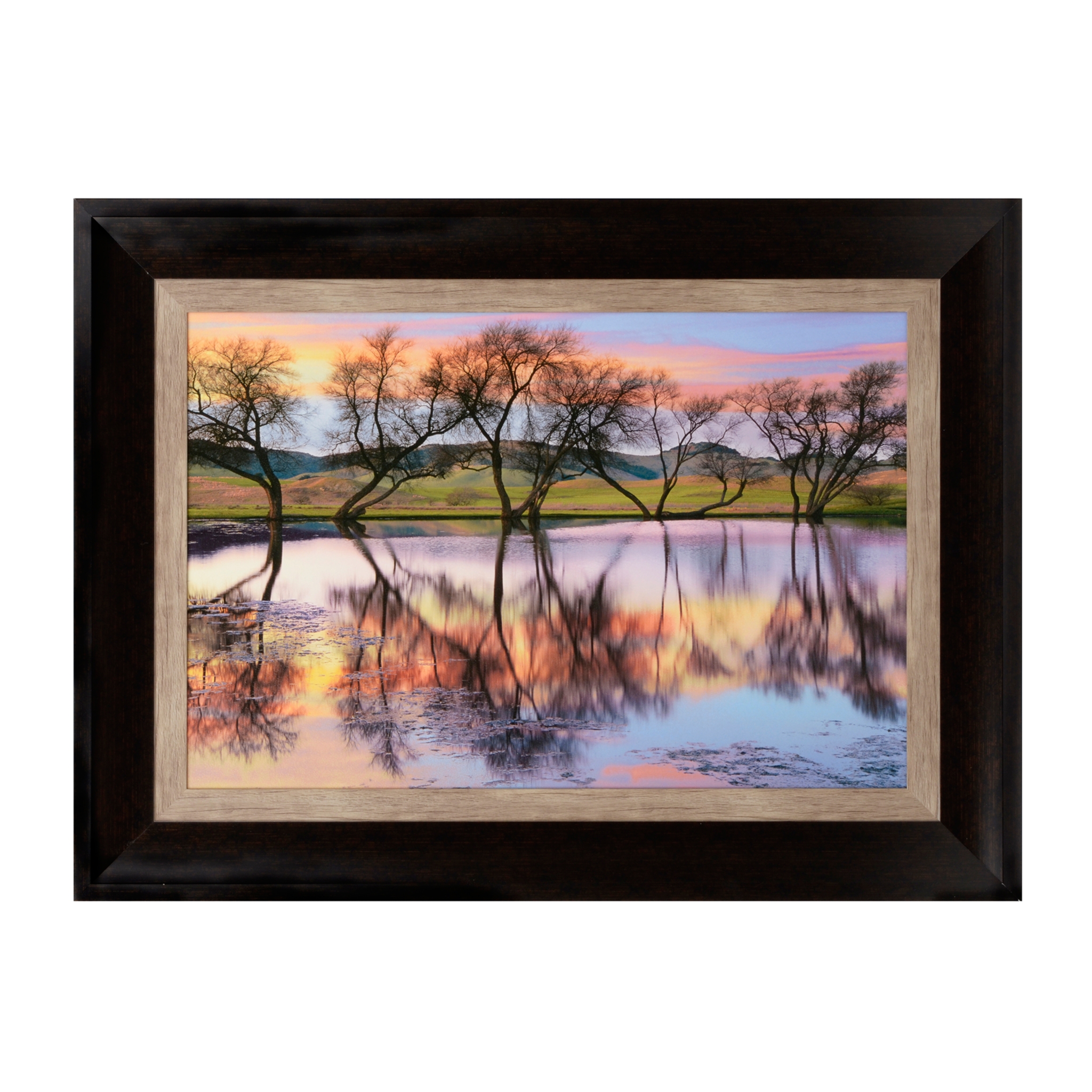 Lake Reflections Framed Art Print | Kirklands