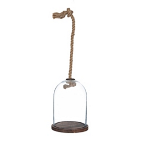 Wood and Glass Cloche