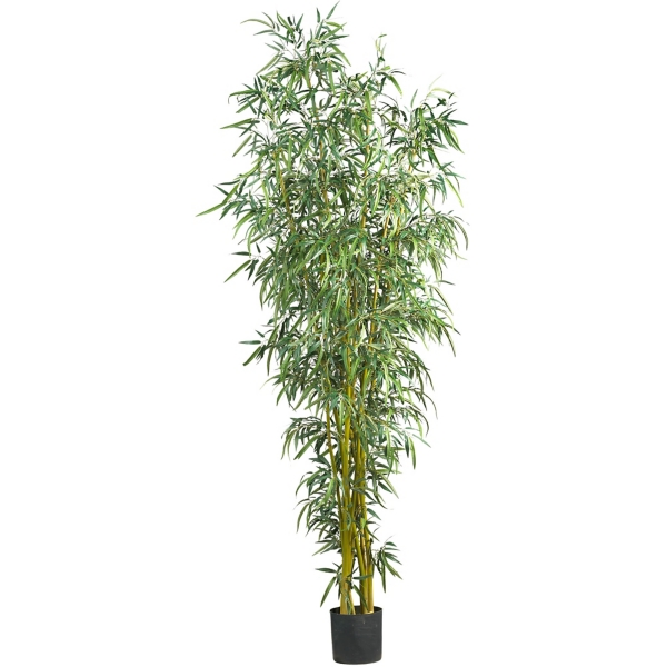 Fancy Style Bamboo Silk Tree 8 Ft Kirklands