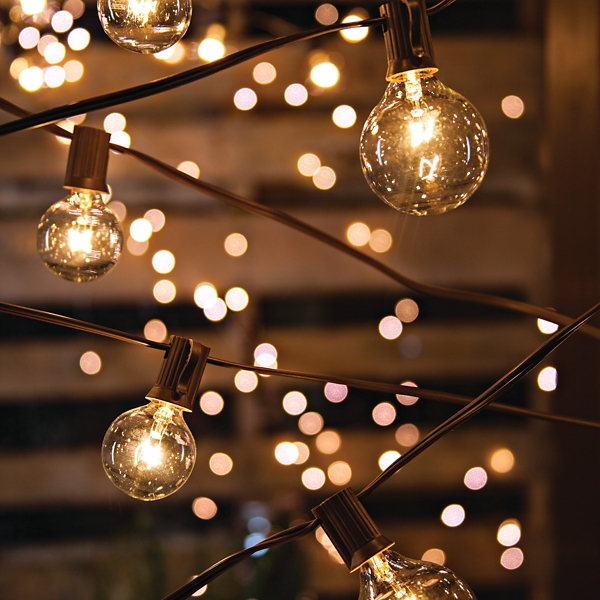 Brown Electric Round Bulb String Lights Kirklands