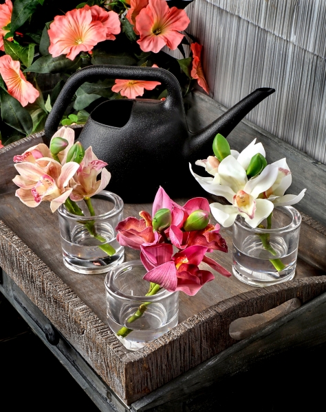 Cymbidium Orchid Blooms And Buds Set Of 3 Kirklands