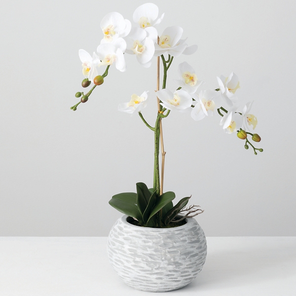 Orchid Arrangement In White And Gray Planter Kirklands