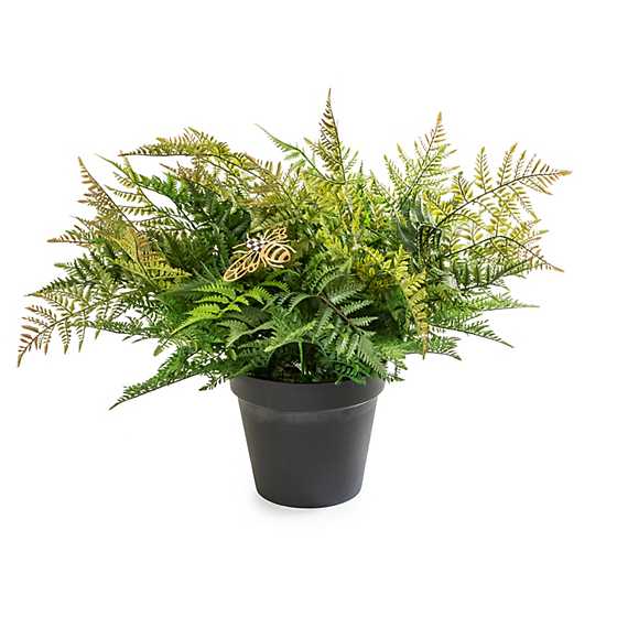 Potted Fern With Bee - Medium image two