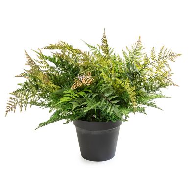 Potted Medium Fern With Bee mackenzie-childs Panama 0