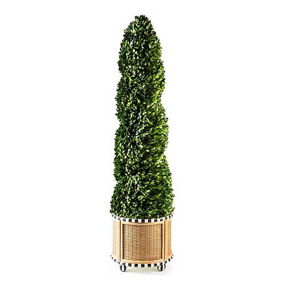 Basket Weave Spiral Large Boxwood Topiary