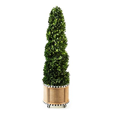 Basket Weave Spiral Medium Boxwood Topiary mackenzie-childs Panama 0