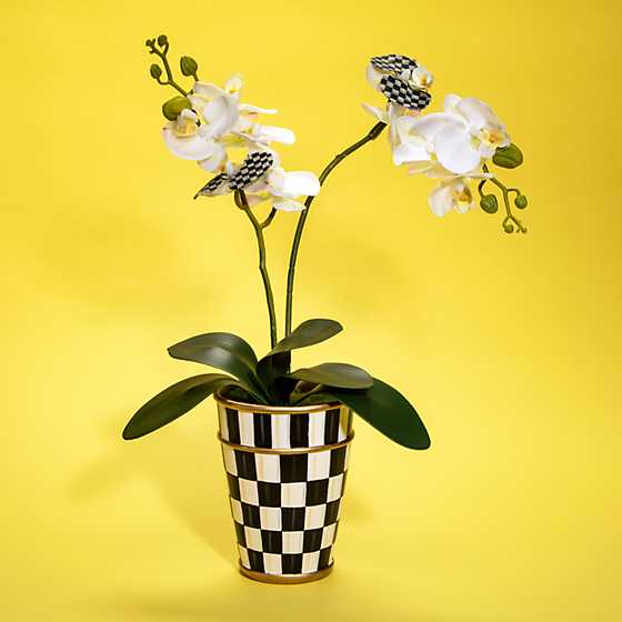 Potted Orchid image five