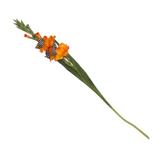 Courtly Check Gladiolus - Orange image one