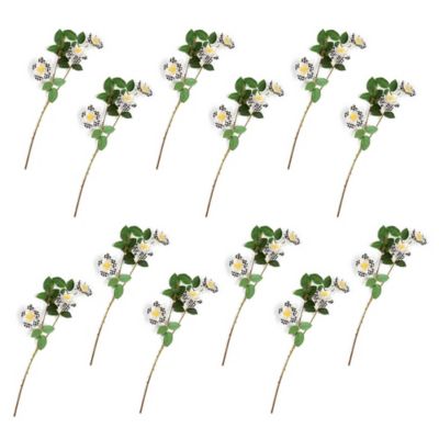 Wild Rose Spray Bouquet - Cream - Set of 12 mackenzie-childs Panama 0