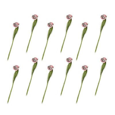 Parrot Tulip Bouquet - Pink - Set of 12 mackenzie-childs Panama 0