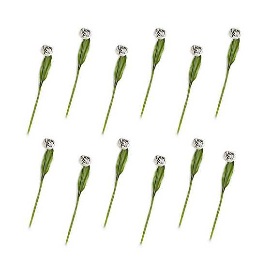 Parrot Tulip Bouquet - Ivory - Set of 12 image two