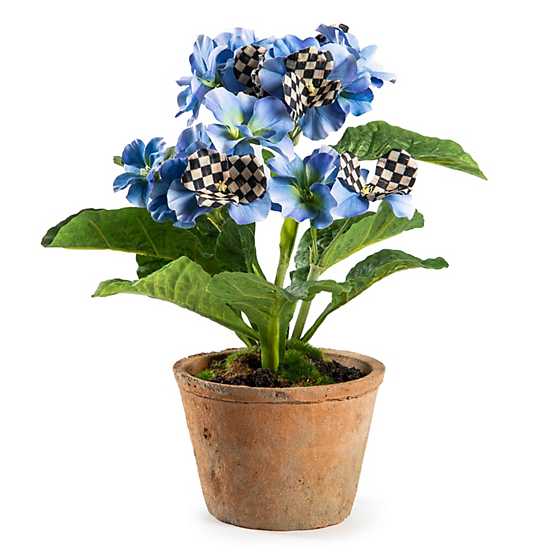 Potted Primrose - Blue image two