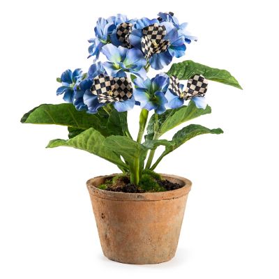 Potted Primrose - Blue mackenzie-childs Panama 0