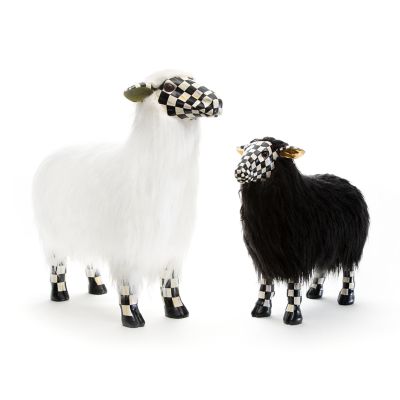 Small black and white sheep