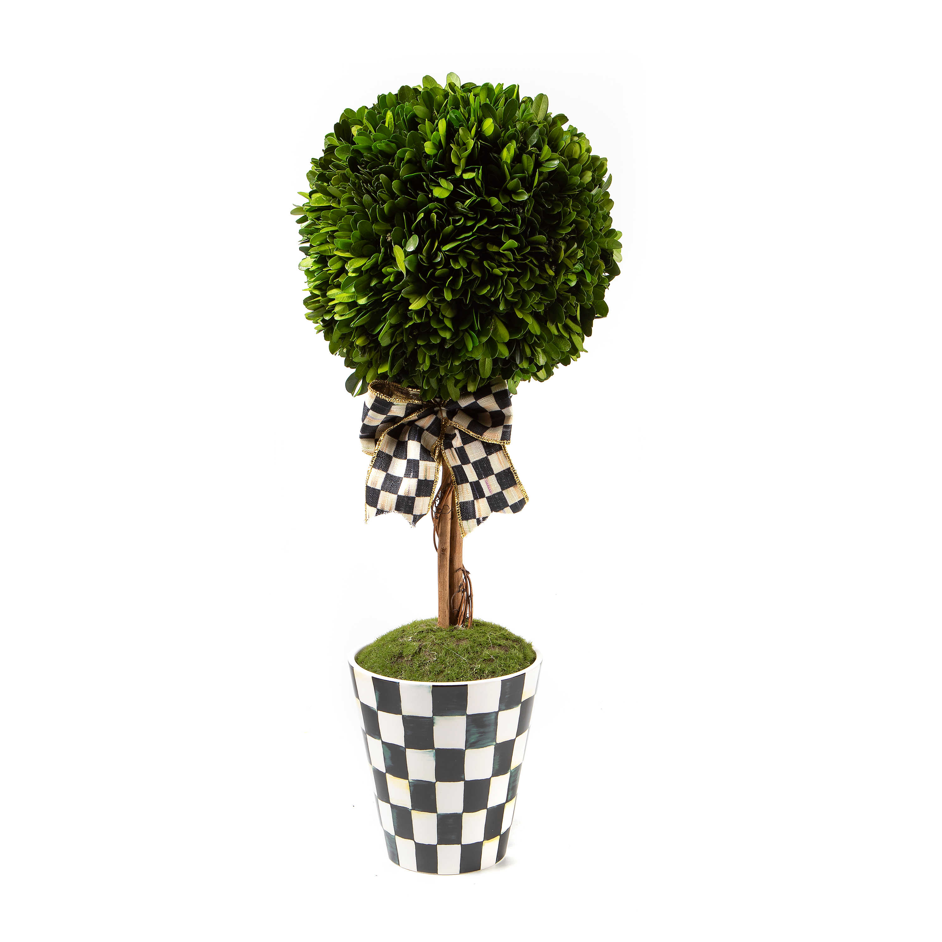 Courtly Boxwood Topiary Large Drop In mackenzie-childs Panama 0