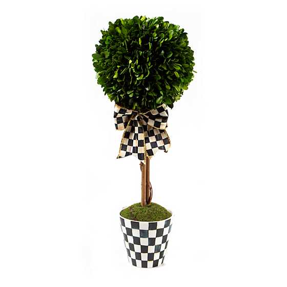 Courtly Boxwood Topiary Drop In - Small