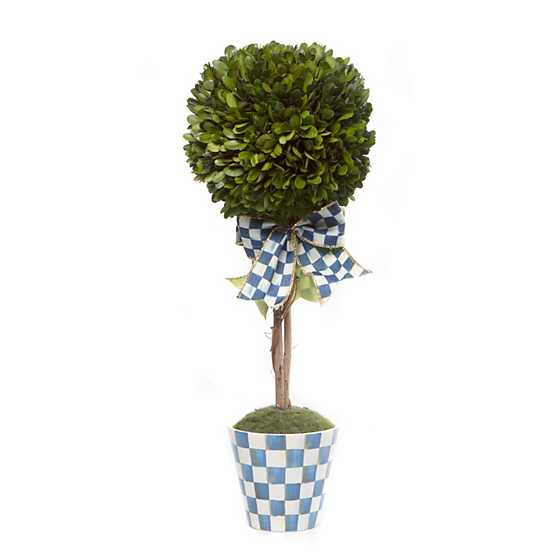 Royal Boxwood Topiary Drop In - Small