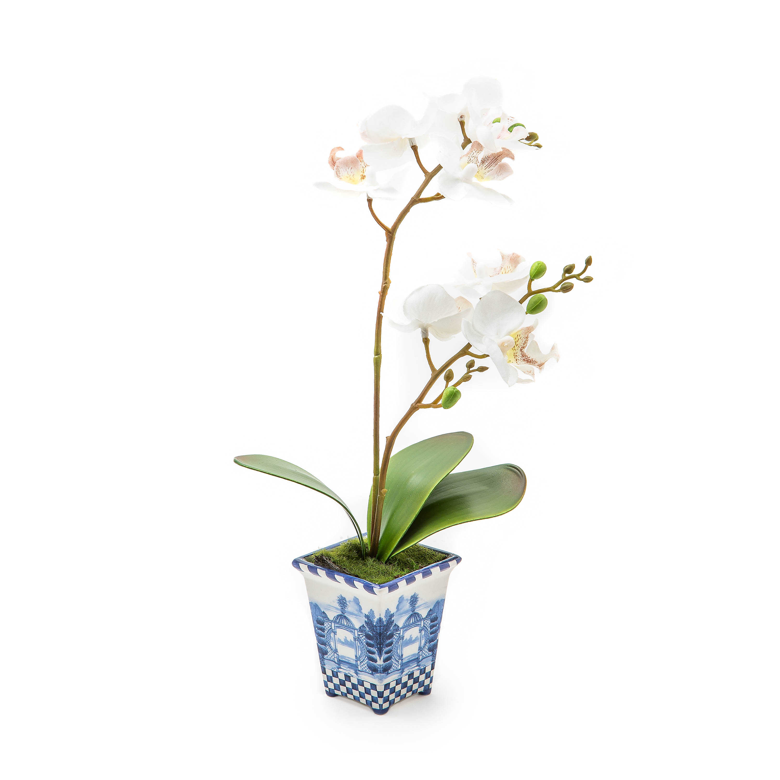 Royal Toile Potted Orchid - Small mackenzie-childs Panama 0
