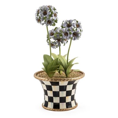 Botany Potted Hyacinth Arrangement mackenzie-childs Panama 0