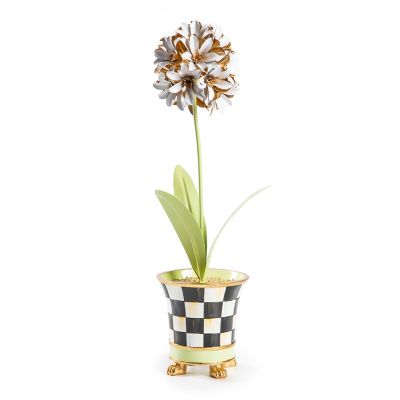 Botany Potted Allium Flower mackenzie-childs Panama 0