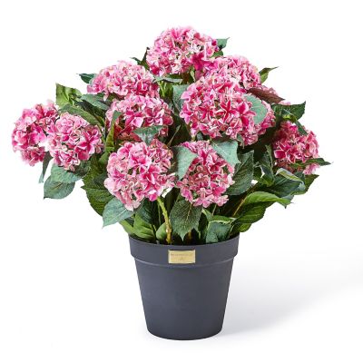 Pink Hydrangea Urn Filler mackenzie-childs Panama 0