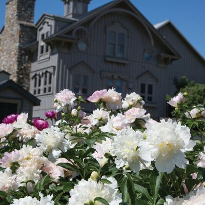 Valentine's Flower Arranging - Fri, February 14: 11AM mackenzie-childs Panama 0