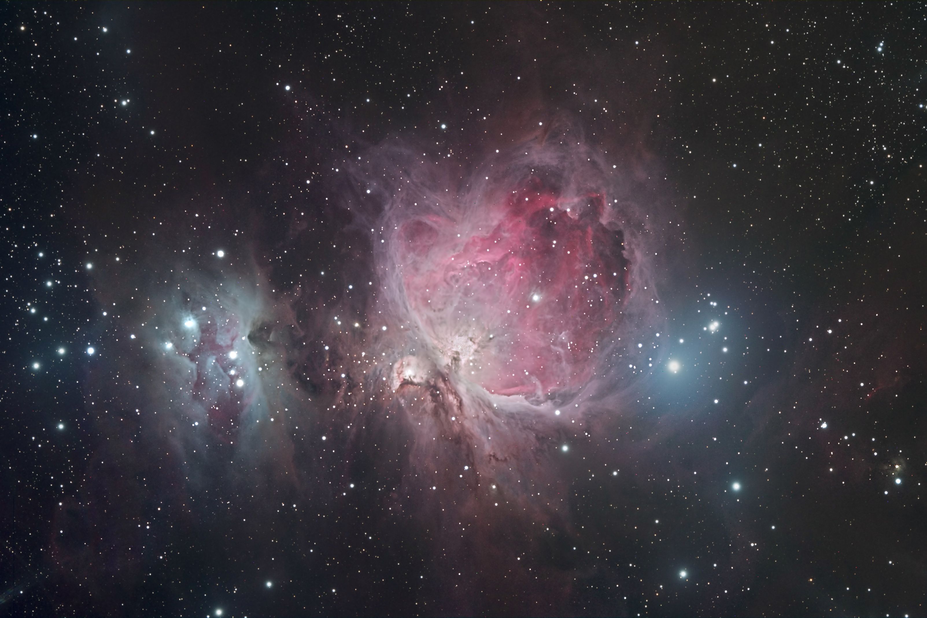 Orion Nebula 3-9-13 | Astronomy Pictures at Orion Telescopes