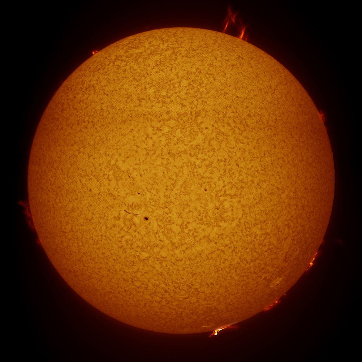 Solar Image | Astronomy Images at Orion Telescopes