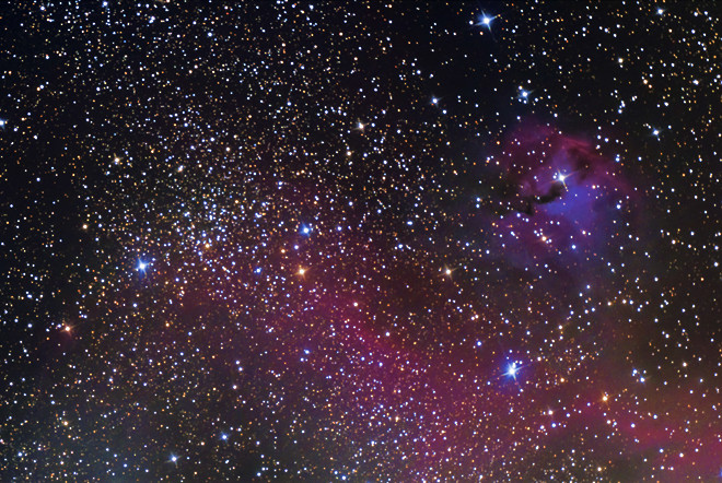 Seagull Nebula, IC-2177 by Christopher Gomez