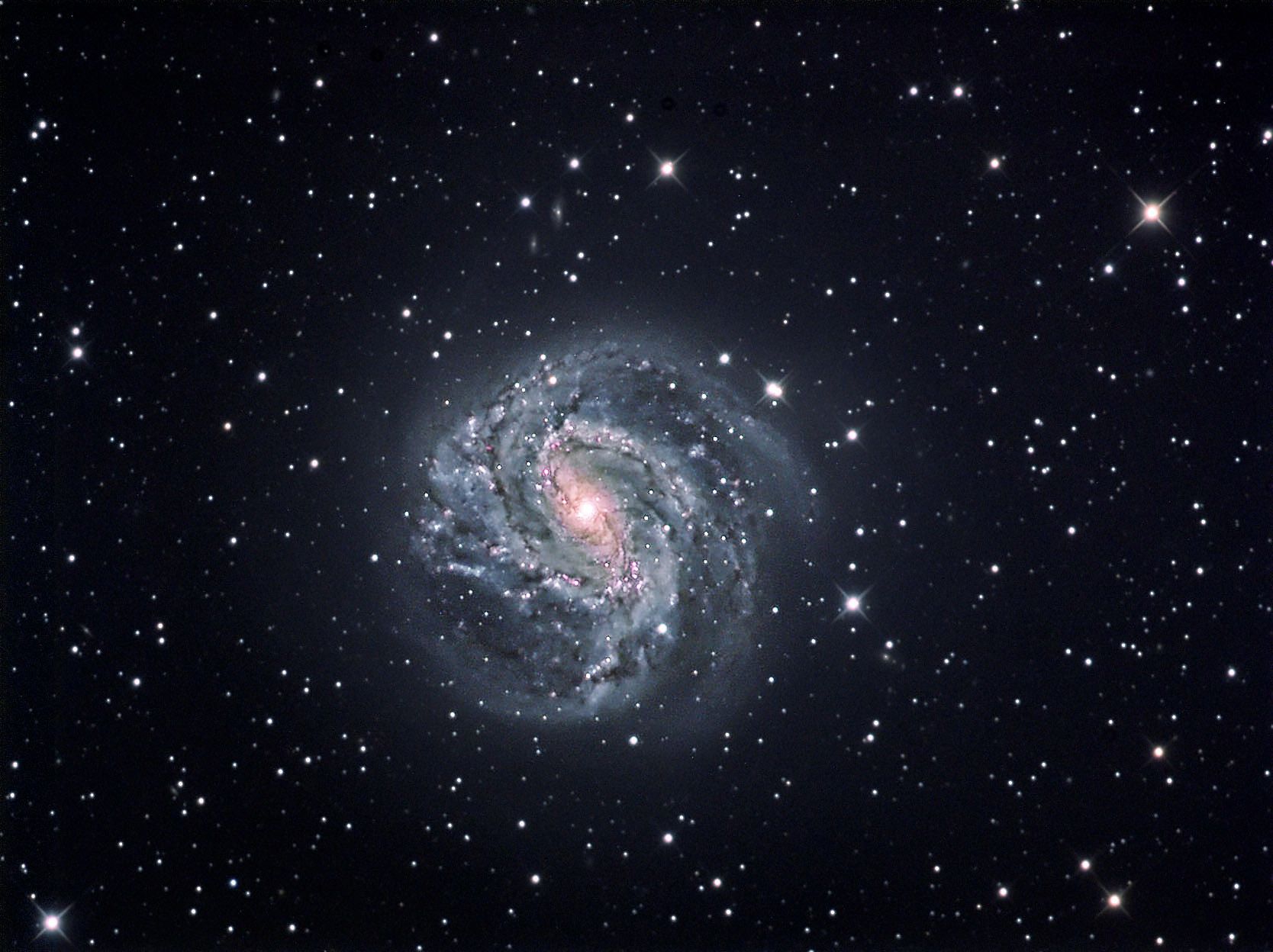 M83 - Southern Pinwheel Galaxy | Astronomy Pictures at Orion Telescope