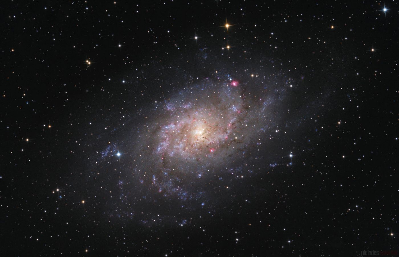 Triangulum Galaxy | Astronomy Pictures at Orion Telescopes