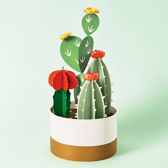 Potted Cactus Craft Kit.