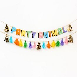 Kids' Birthday Party Supplies & Decorations